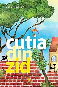 Cutia din zid