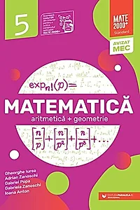 Matematică Standard. Algebră, geometrie. Clasa a V-a (2025-2026)