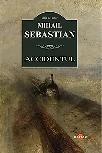 Accidentul