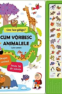 Vehicule zgomotoase: Carte sonoră