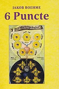 6 puncte