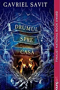 Drumul spre casă
