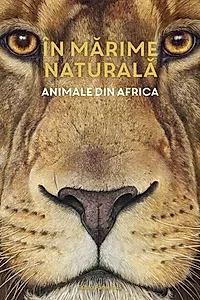 În mărime naturală. Animale din Africa