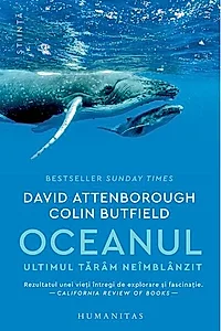 Oceanul