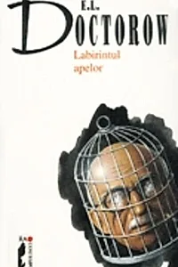 Labirintul apelor