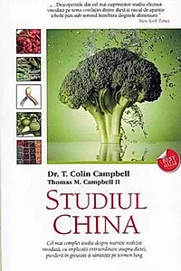 Studiul China