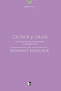 Critică și criză