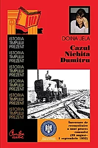 Ebook Cazul Nichita Dumitru