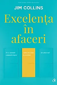 Ebook Excelența în afaceri