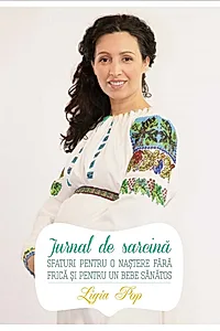 Jurnal de sarcină
