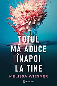 Totul mă aduce înapoi la tine