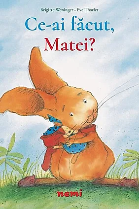 Ce ai făcut, Matei?