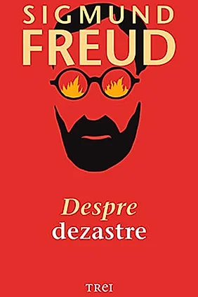 Despre dezastre