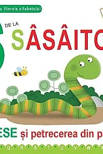 S de la Sasaitor - Necartonata