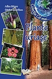 Plante uriase
