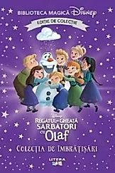 Regatul de Gheata. Colectia de imbratisari. Biblioteca magica Disney