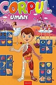 Corpul uman