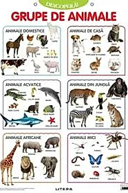 Descopera! Grupe de animale (planse educationale)
