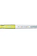 Carioca Frixion color verde deschis Pilot