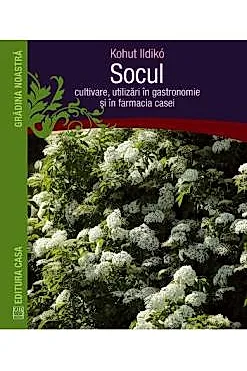 Socul: Cultivare, utilizari in gastronomie si in farmacia casei
