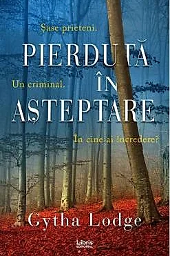 Pierduta in asteptare