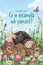 Ce se intampla sub pamant? (Usborne)