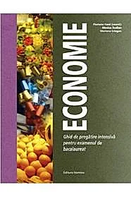 Economie – Ghid de pregatire intensiva pentru examenul de bacalaureat 2022