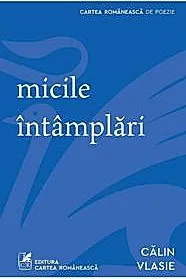 Micile intamplari