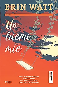 Un lucru mic