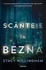 Scanteie in bezna