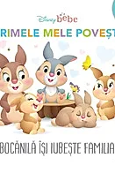 Disney bebe. Bocanila isi iubeste familia. Primele mele povesti