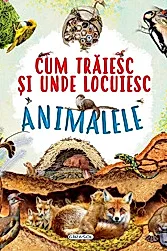 Cum traiesc si unde locuiesc animalele