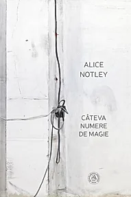 Cateva numere de magie