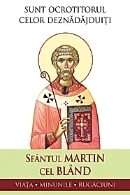 Sunt ocrotitorul celor deznadajduiti