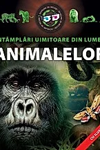 Intamplari uimitoare din lumea animalelor 3D