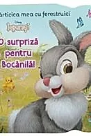 Disney Iepurasi. Carticica mea cu ferestruici. O surpriza pentru Bocanila