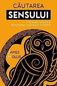 Cautarea Sensului