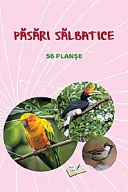 Planse: Pasari salbatice