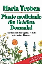Plante medicinale din Gradina Domnului