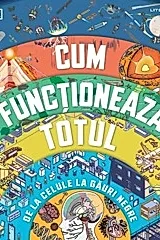 Cum functioneaza totul