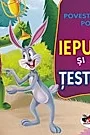 Iepurele si testoasa. Poveste cu talc. Pop-up