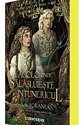 Acolo unde salasluieste intunericul