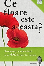 Ce floare este aceasta?