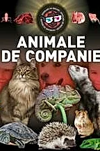 Animale de companie 3D