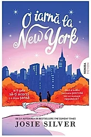 O iarna la New York