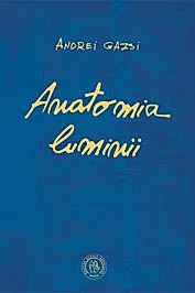 Anatomia luminii
