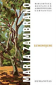 Luminisuri