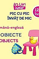 Pic cu pic invat de mic - Obiecte