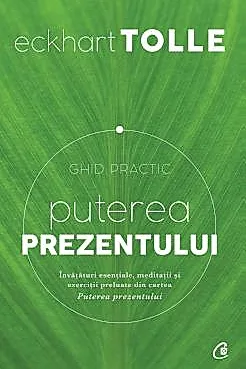 Puterea prezentului. Ghid practic