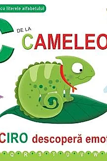 C de la Cameleon - Cartonata